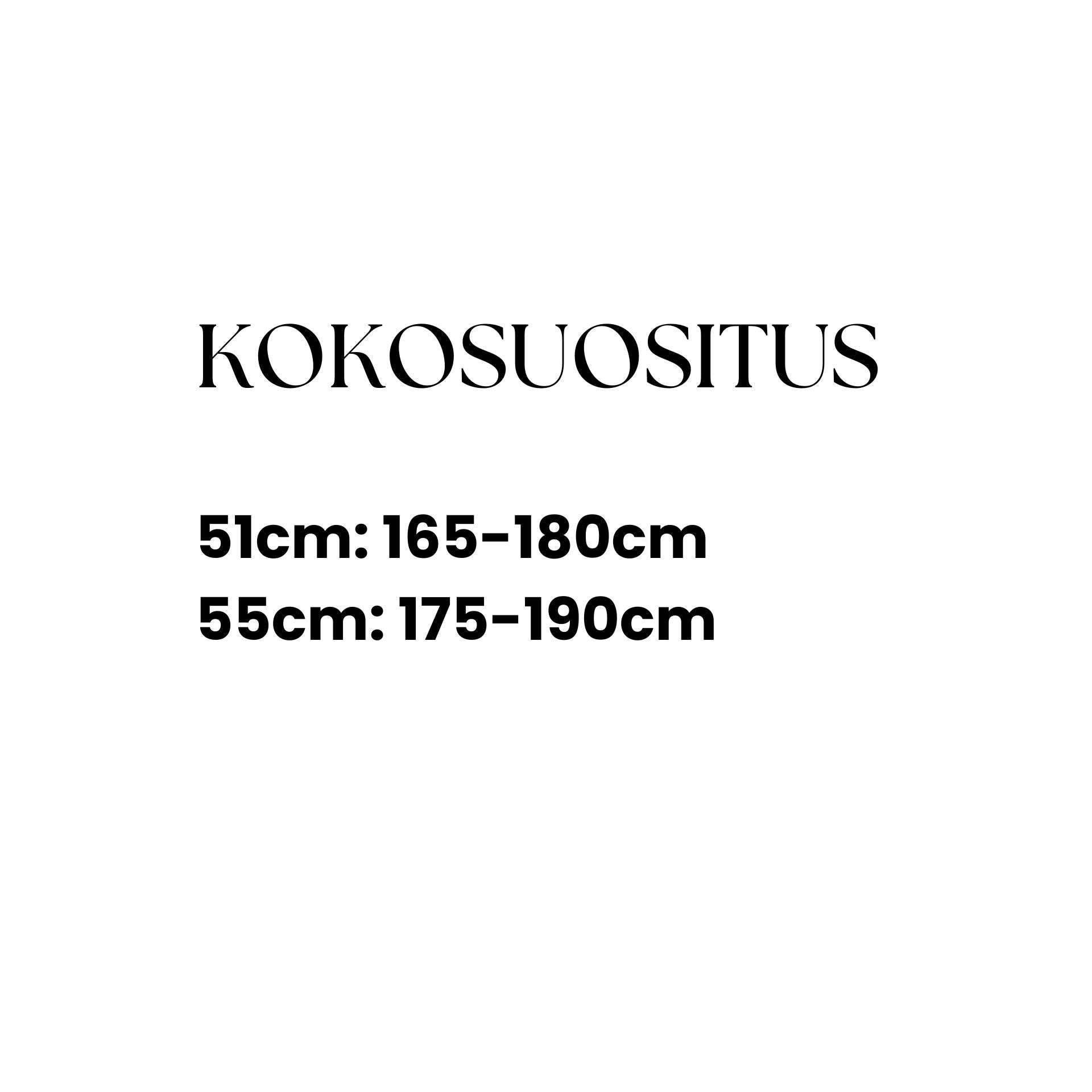 Crescent Elgot – työmatkapyörä, 60 Nm, 417 Wh
