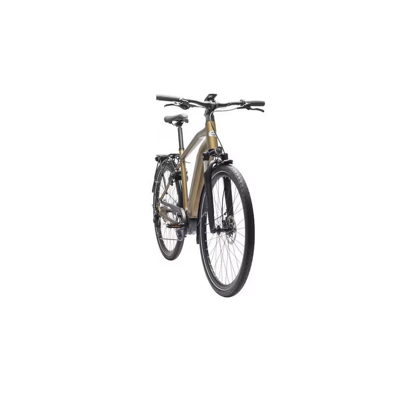 Crescent Elder 20S 10v